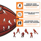 Atlanta Falcons™ - Rompecabezas de Madera