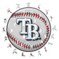 Tampa Bay Rays™ - Rompecabezas de Madera